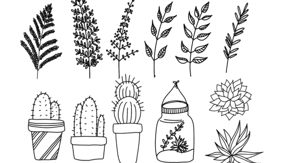 Line Drawing: Ideas and a Guide to Get You Started | Skillshare Blog