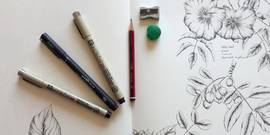 flower drawing in pencil step by step