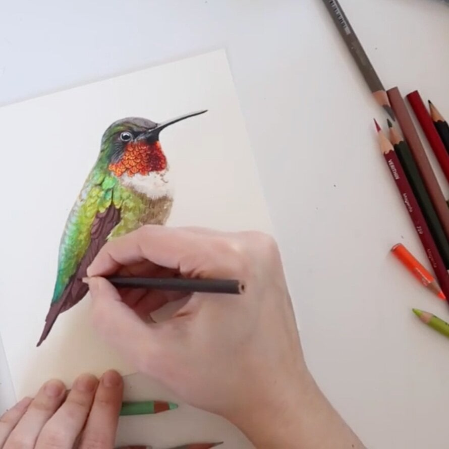 Painting with Colored Pencils: A Beginner's Guide, Kendyll Hillegas