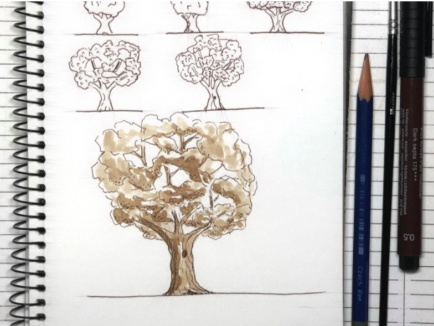 Easy Simple Pencil Tree Drawing - Untitled Tree Drawings 