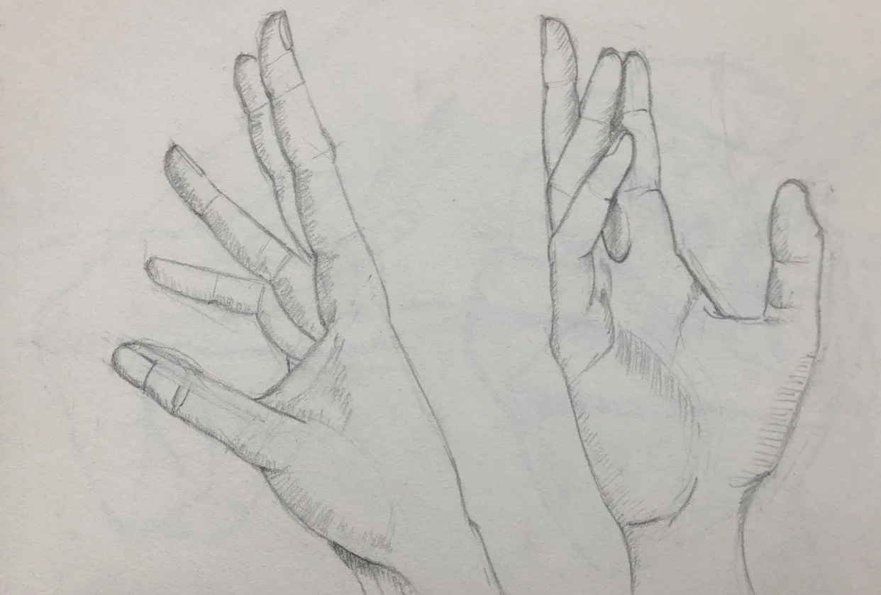 How To Draw Hands A Beginner S Guide Skillshare Blog