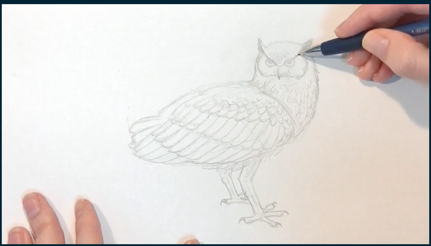 Drawing Tutorial For Beginners - Drawing ideas - Medium