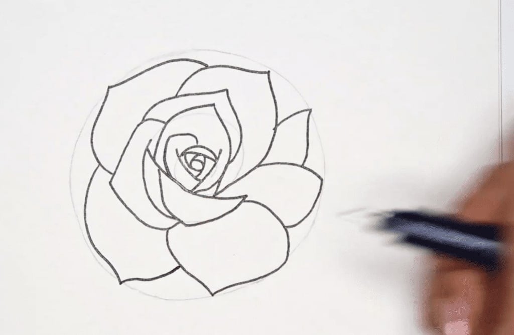 how to draw a rose with pencil
